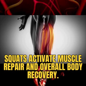This Is How Squats Heal Your Body Squats are more than just a workout