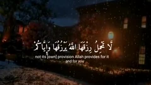 Beshak 💯♥️✨