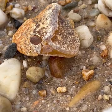 HOW TO FIND PRECIOUS STONES IN ANY RIVER