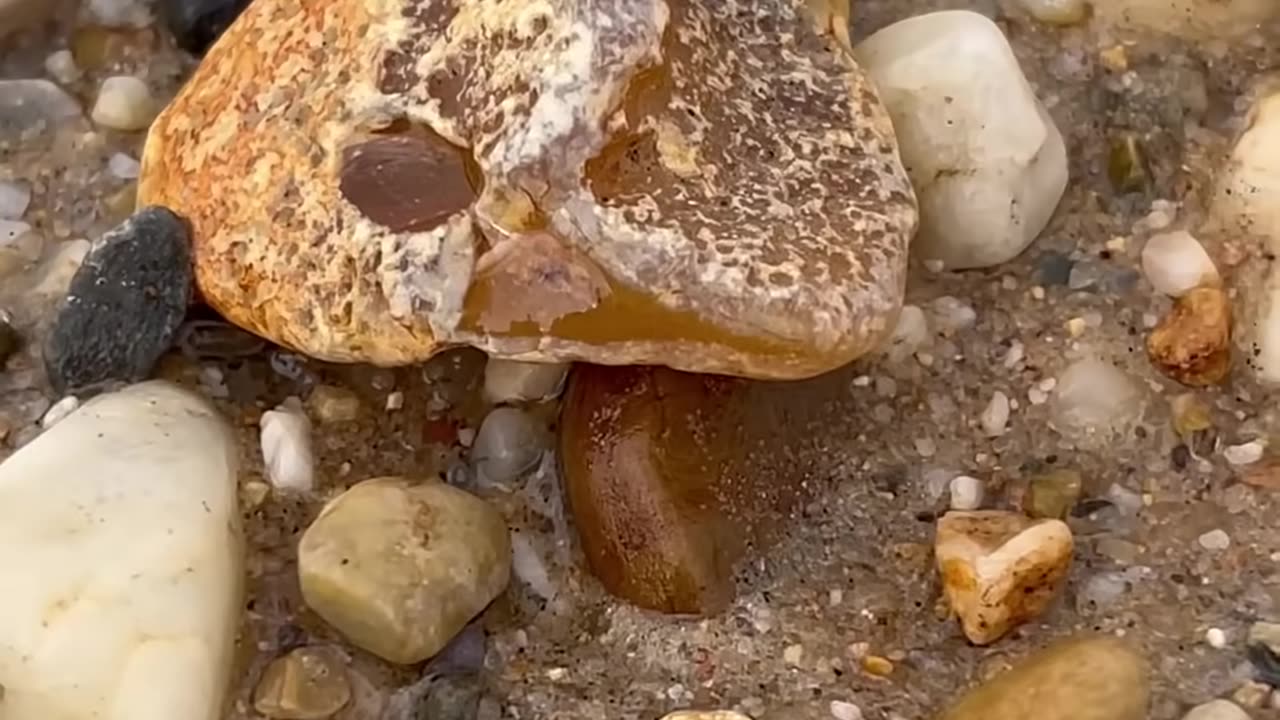 HOW TO FIND PRECIOUS STONES IN ANY RIVER