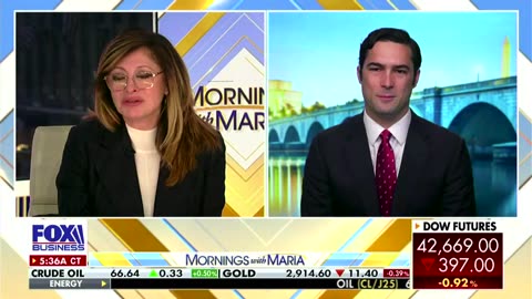 'You've got to cut Medicaid!' Maria Bartiromo loses cool with GOP lawmaker