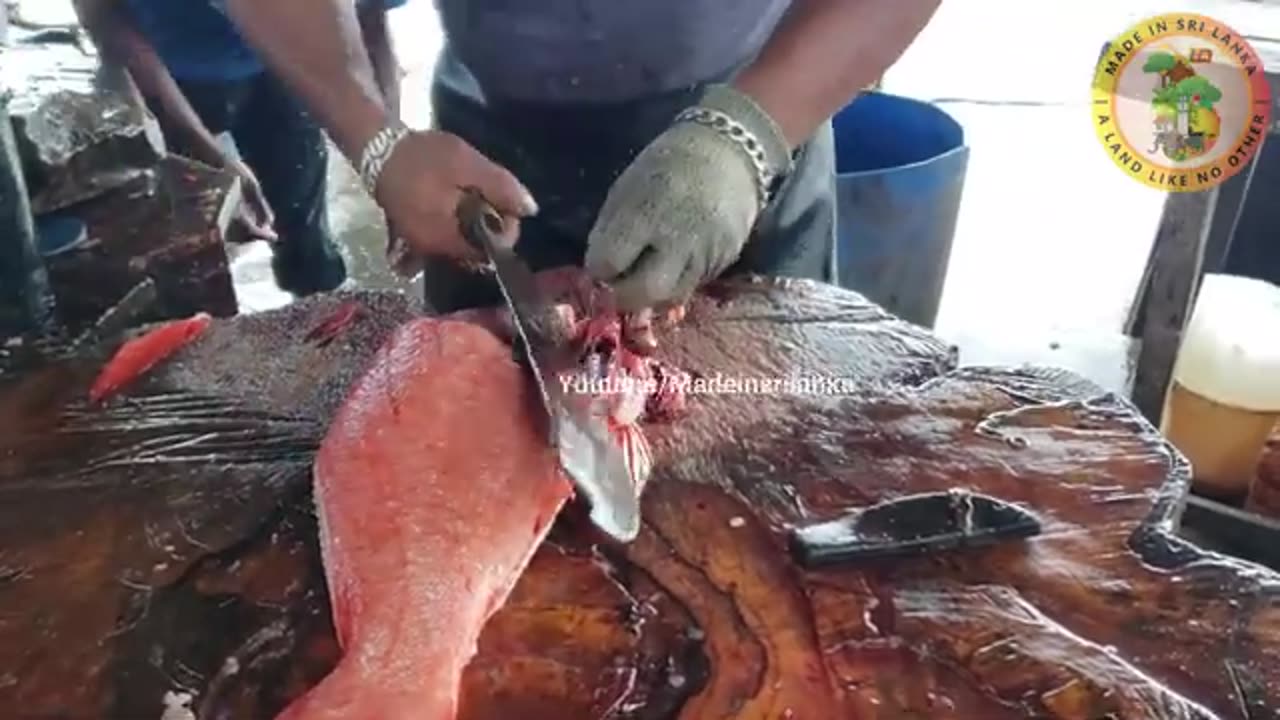 Tomato Hind Grouper Fish Cutting _ Fish Cutting Skills