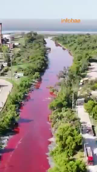 A canal in Argentina has turned a startling shade of red, causing concern among residents.