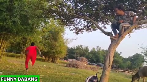 Funny comedy action love