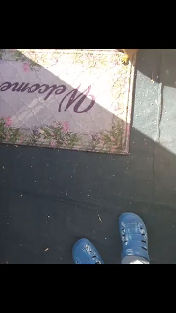 just a squirrel, trynna get a nut🐿️PT1😉💟🫠