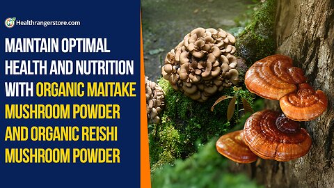 Maintain optimal health and nutrition with Organic Maitake Mushroom Powder and Organic Reishi Mushroom Powder