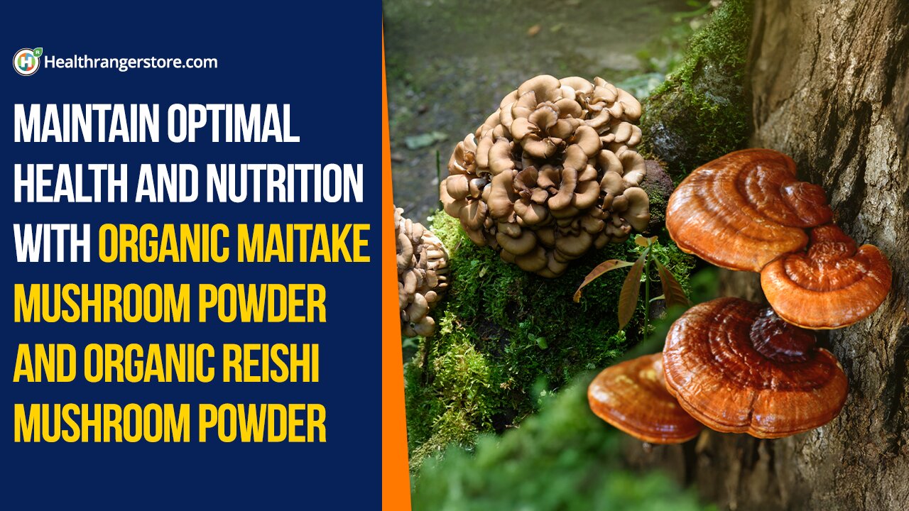 Maintain optimal health and nutrition with Organic Maitake Mushroom Powder and Organic Reishi Mushroom Powder
