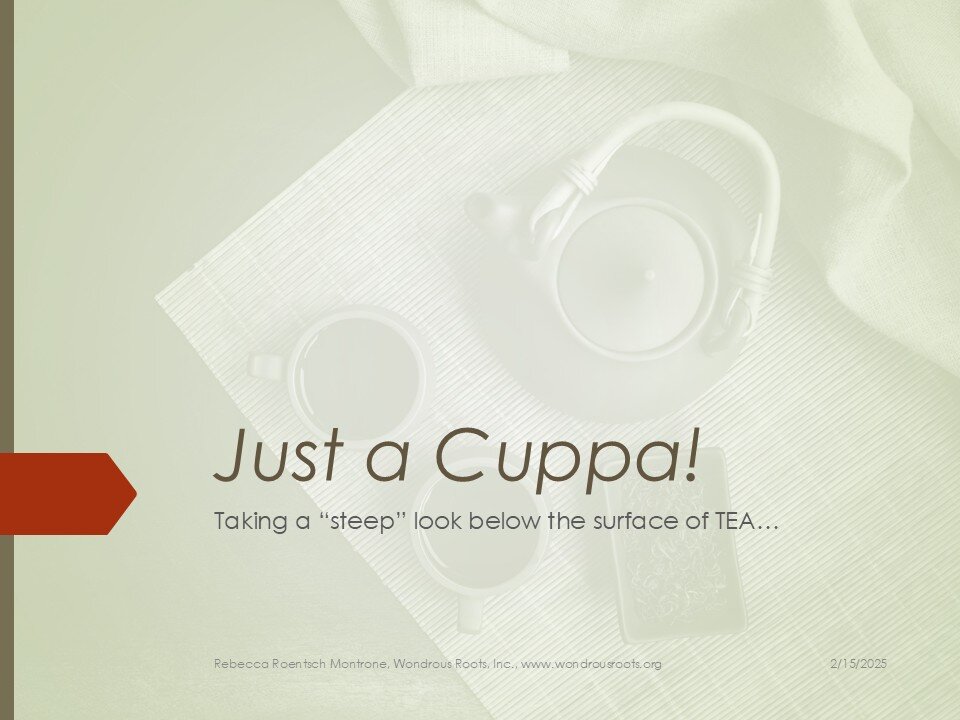 Just a Cuppa! - a "steep" look below the surface of TEA