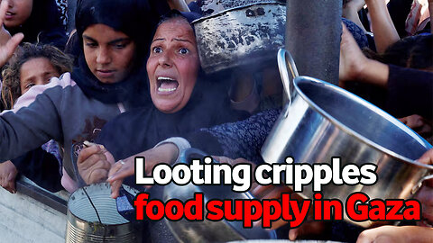 Looting cripples food supply in Gaza as Israel neglects pledge to tackle gangs, sources say