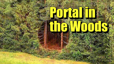 Trans-Dimensional Portal in the Woods