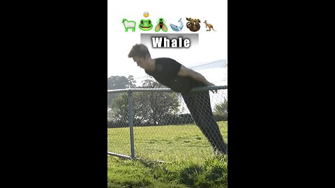 ow different animals get over a fence. They got over but at what cost