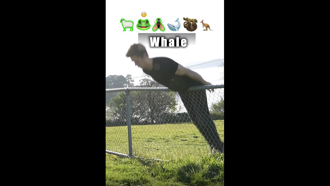 ow different animals get over a fence. They got over but at what cost