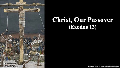 Christ, Our Passover (Exodus 13) – A daily Bible study from www.HeartofAShepherd.com.