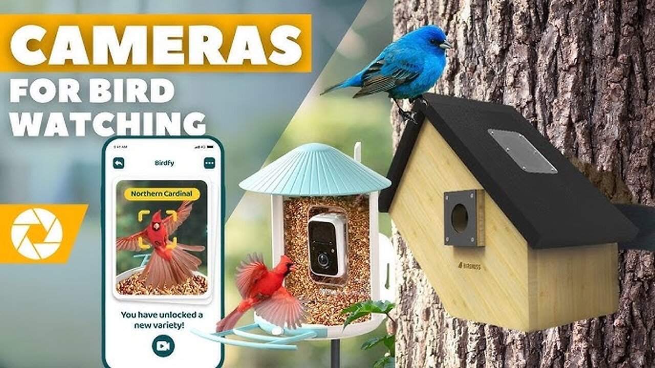 "Top 5 Best Bird Feeder Cameras of 2025 - Capture Nature Like Never Before