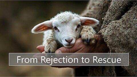 From Rejection to Rescue