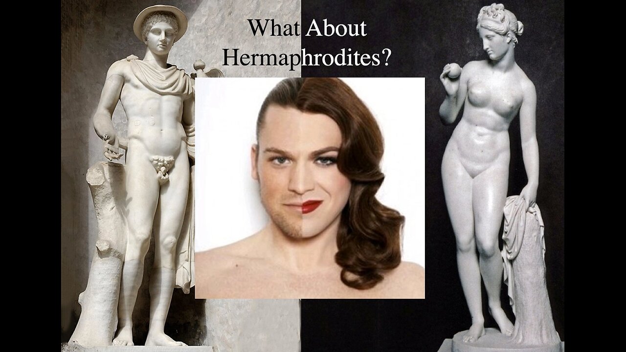 Who and What is The Sick Satanic Sacred Adrogynous Hermaphrodites?