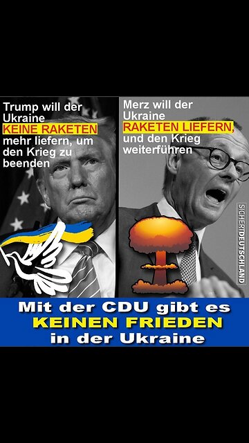 I think we are about to find out that Ashley St Clair is crazier than Amber Heard.