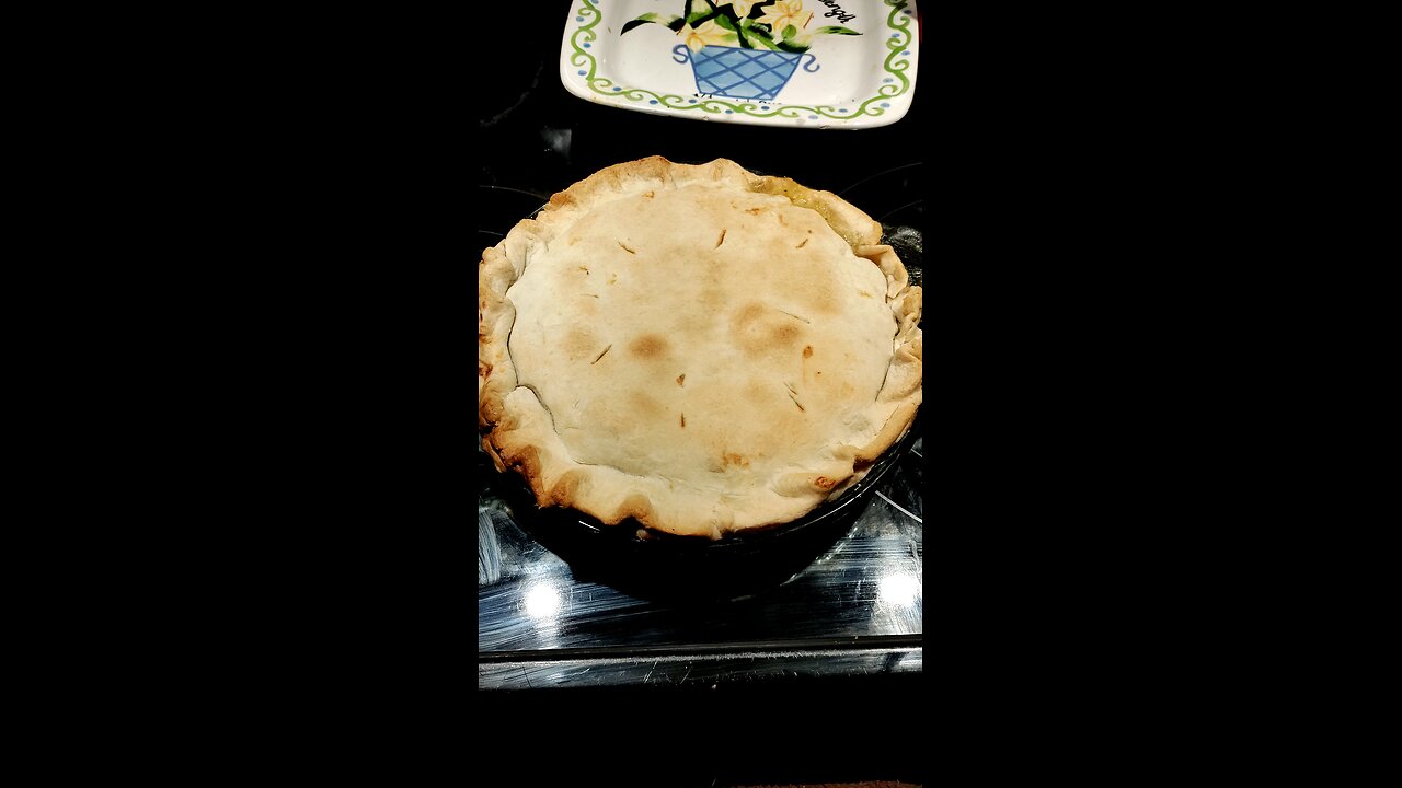 Eating Homemade Chicken Pot Pie Made By My Wife, Dbn, MI, 1/29/25