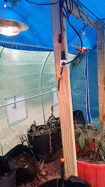 to heat lamps in a small space heater and a small space heater