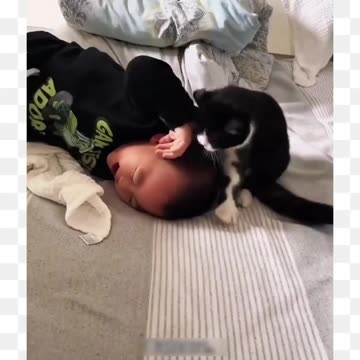 Babies vs Animals part 2 😂🤣