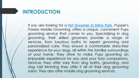 If you are looking for a Pet Groomer in Edna Park