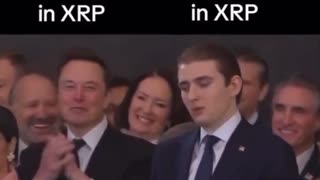 First Year in XRP vs Four Years in XRP