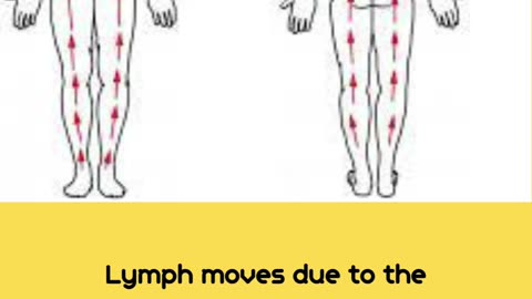 Boost Your Blood Flow and Circulation Doing Just 1 Simple Exercise