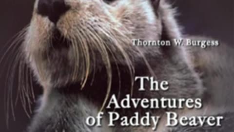 The Adventures of Paddy Beaver by Thornton W. BURGESS read by John Lieder _ Full Audio Book