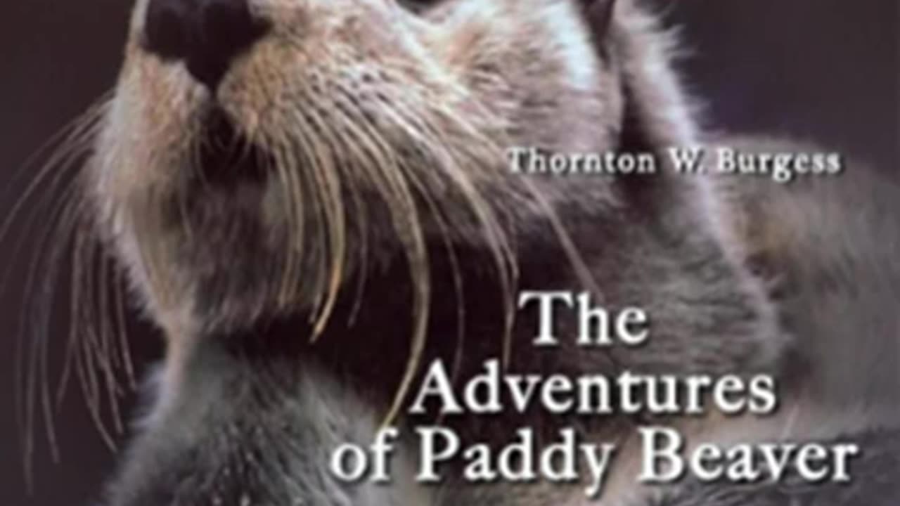 The Adventures of Paddy Beaver by Thornton W. BURGESS read by John Lieder _ Full Audio Book