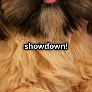 🚀 Millionaire Partner System – The Ultimate Affiliate Marketing Blueprint for Passive Income! 💰