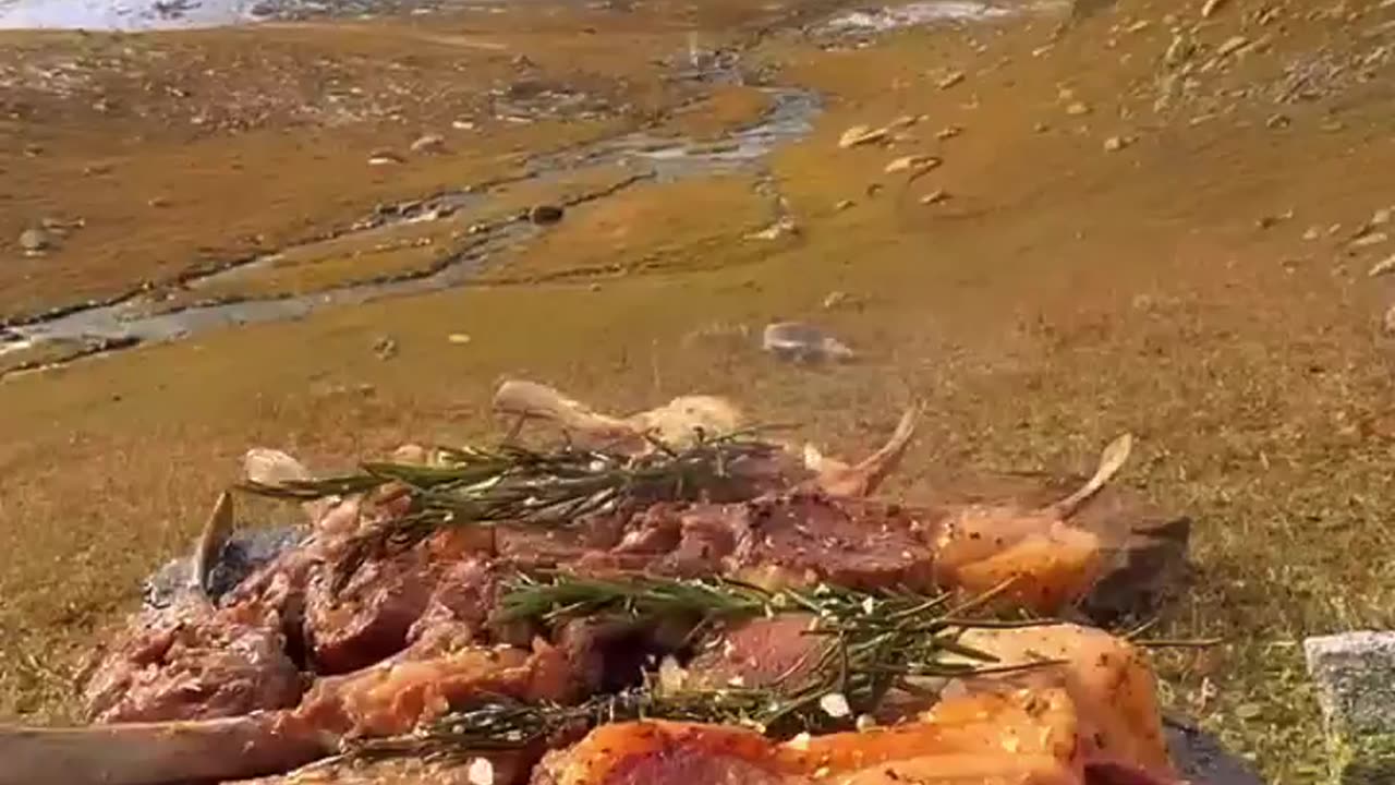 Cooking Lamb Chops on a log Stove