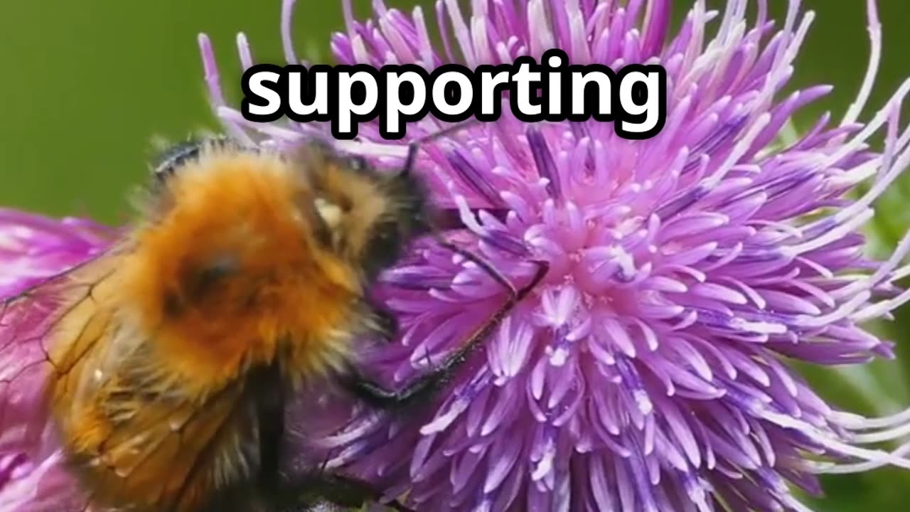 Bees Earth's MVP's