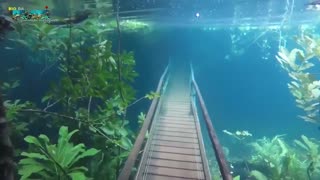 Heavy rain in Brazil transformed a hiking trail into an underwater forest