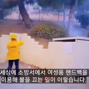 USA.LA .Firefighters are using handbags to put out the LA Fires.