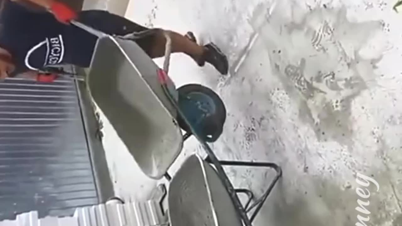 Qwwy