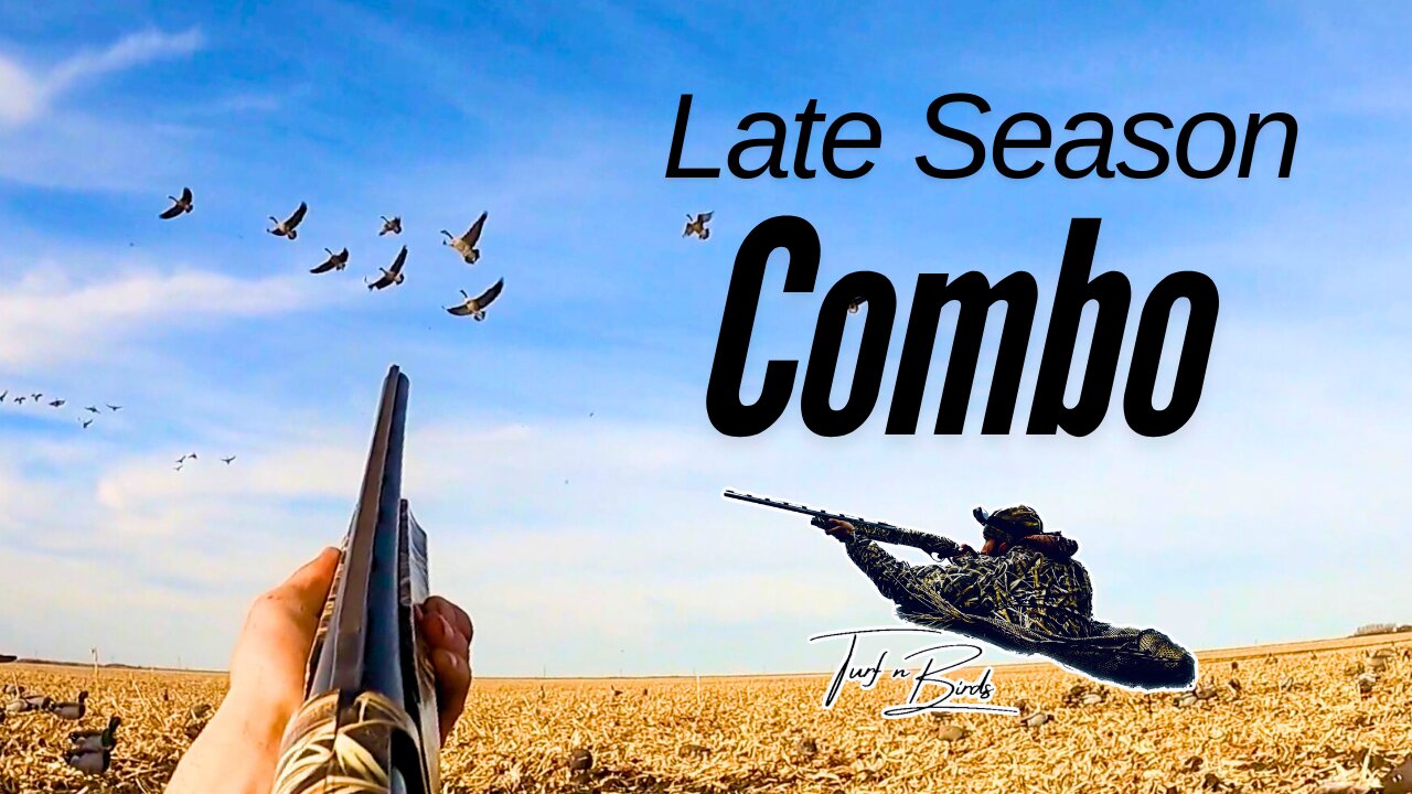 Cornfield Goose and Duck Combo