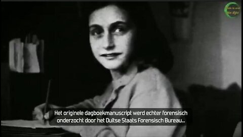 The writer of Anne Franks Diaries was Meyer Levine