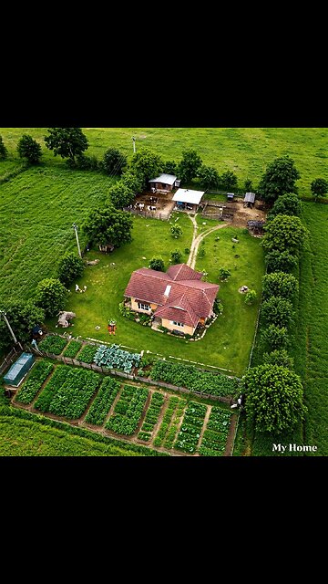 How To Create Living Fences. ✅