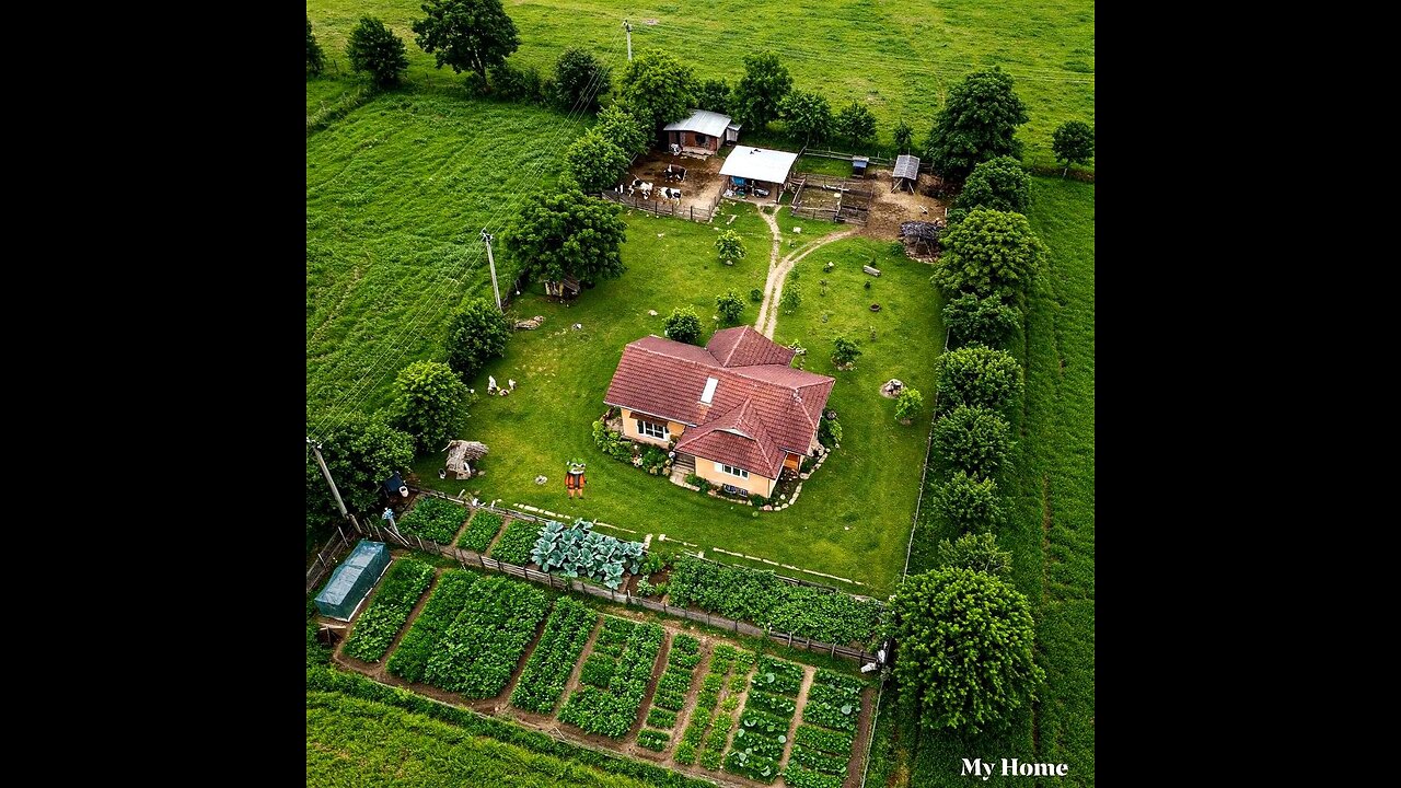 How To Create Living Fences. ✅