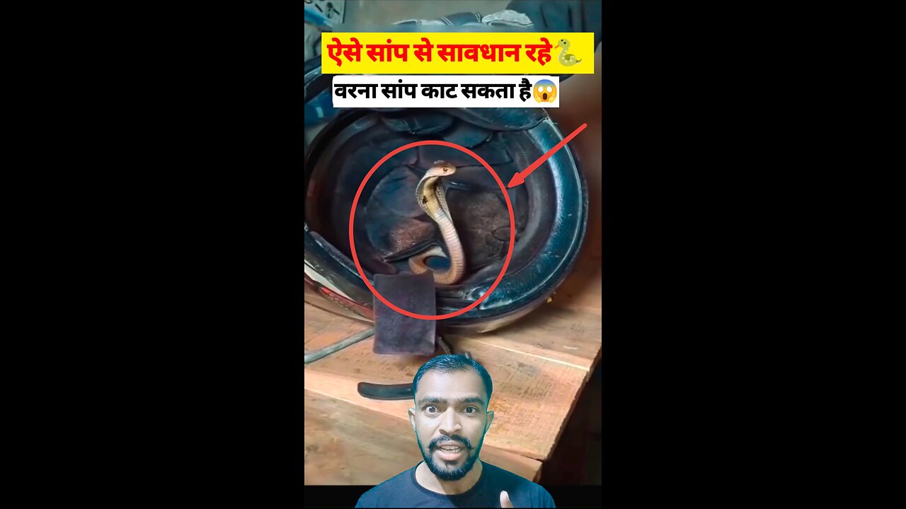 ऐसे सांप से सावधान रहे वरना सांप काट सकता है🐍 Be careful with such snakes