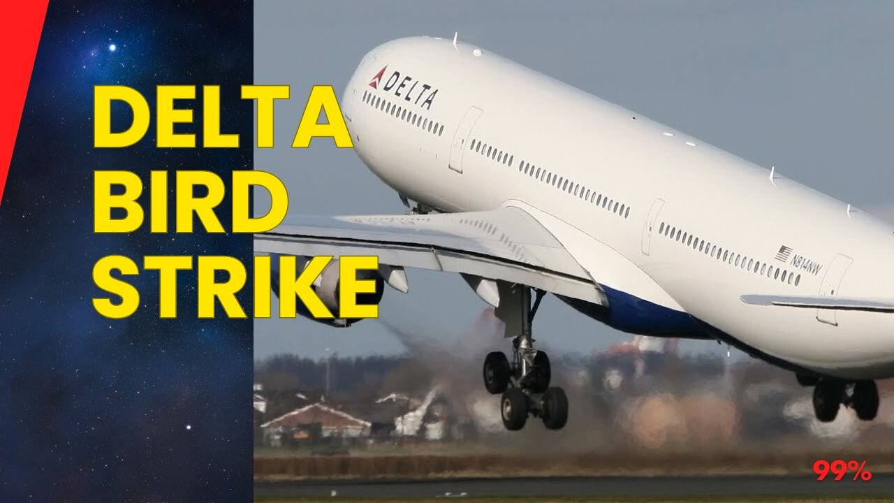 Delta Airbus A330 Takeoff Horror: Bird Strike Creates Chaos!