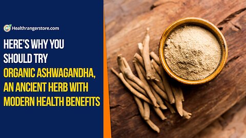 Here’s why you should try Organic Ashwagandha, an ancient herb with modern health benefits