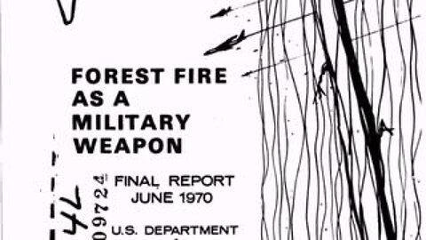 DARPA document on how to use "forest fires as a weapon". It's 170 pages long.