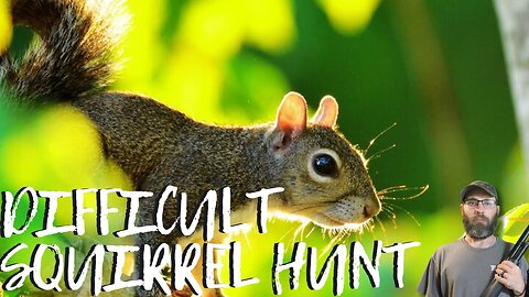 Difficult Squirrel Hunt