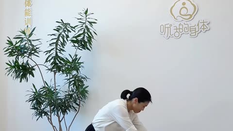 0359..大雁俯身飛