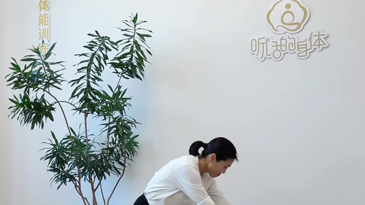 0359..大雁俯身飛