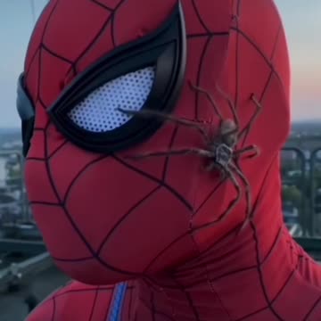 They Both Are Buddies!