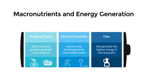 Macronutrients and Energy Generation