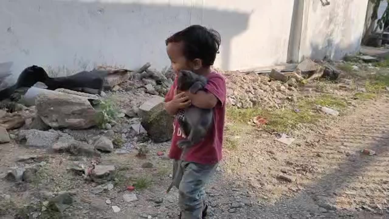 Little Kid with Kitten