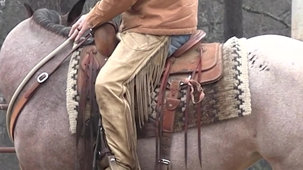 Avoid Creating More Resistance in Your Horse Than is Already There.